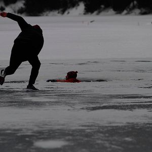 Foto Ferrugem e Osso