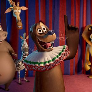Foto Madagascar 3 - Os Procurados