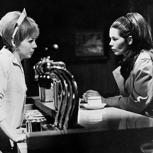 Foto Sombras da Noite