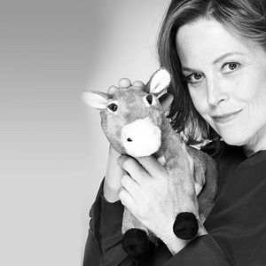 Foto Political Animals