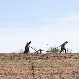 Foto Tom Cullen (III)