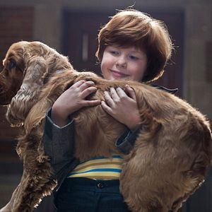 Foto Cão que Ladra não Morde