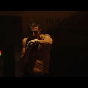 Foto Escorpião Apaixonado