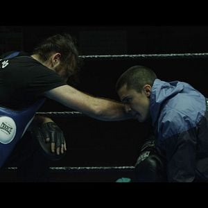 Foto Escorpião Apaixonado