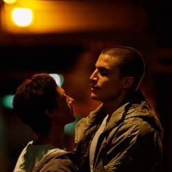 Foto Escorpião Apaixonado