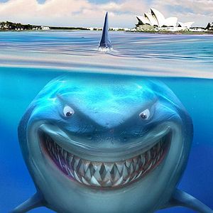 Foto Procurando Nemo