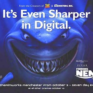 Foto Procurando Nemo