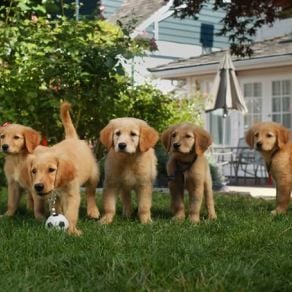 Foto Space Buddies - Uma Aventura no Espaço