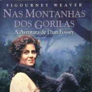 Foto Nas Montanhas dos Gorilas