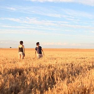 Foto Amor em Pedaços