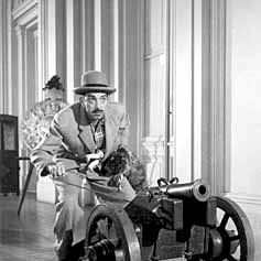 Foto O Gato de Madame