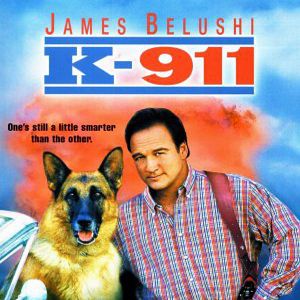 Foto K-9 - Um Policial Bom pra Cachorro 2