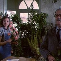 Foto Busca Frenética