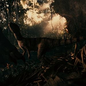 Foto Projeto Dinossauro