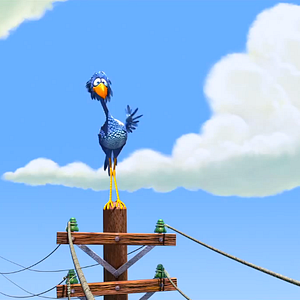 Foto Para os Pássaros