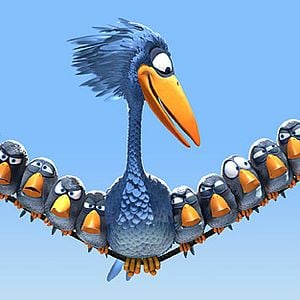 Foto Para os Pássaros