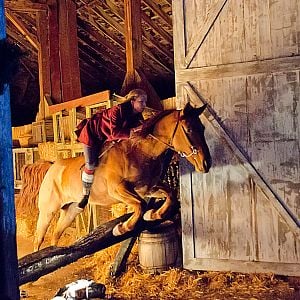 Foto Os Doze Cães de Natal II - O Grande Resgate