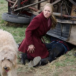 Foto Os Doze Cães de Natal II - O Grande Resgate