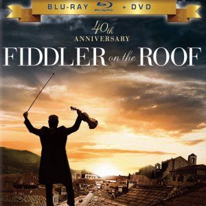 Foto Um Violinista No Telhado