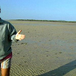 Foto Língua - Vidas em Português