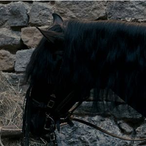 Foto Michael Kohlhaas - Justiça e Honra