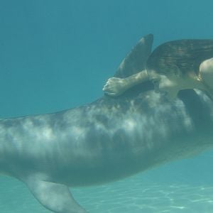 Foto H2O: Meninas Sereias