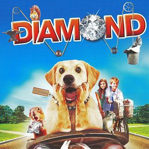 Foto Confusão pra Cachorro