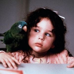 Foto Paulie - Um Papagaio Bom de Papo