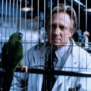 Foto Paulie - Um Papagaio Bom de Papo