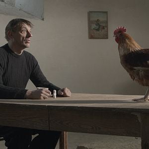 Foto Peter Van den Begin