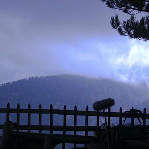 Foto Gözetleme Kulesi