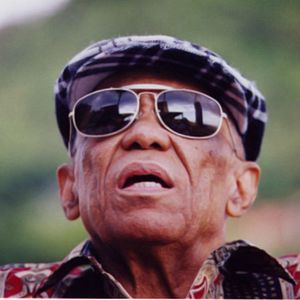 Foto Onde a Coruja Dorme