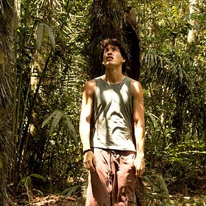 Foto A Floresta de Jonathas