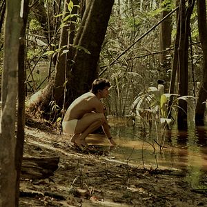 Foto A Floresta de Jonathas