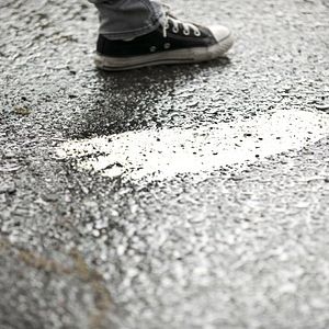 Foto Bigfoot: The Lost Coast Tapes