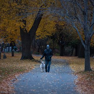 Foto As Senhoras de Salem