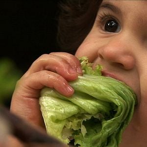 Foto Sementes do Nosso Quintal