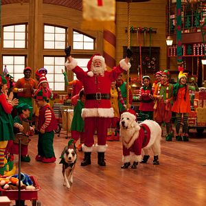 Foto Os Filhotes da Mamãe Noel