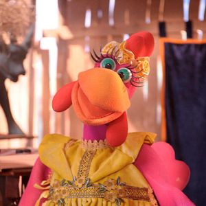 Foto Cocoricó Conta Clássicos