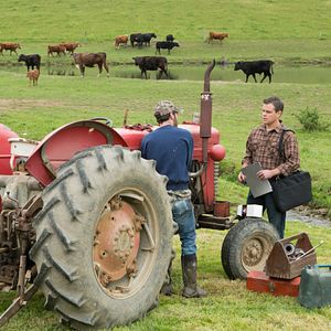 Foto Terra Prometida