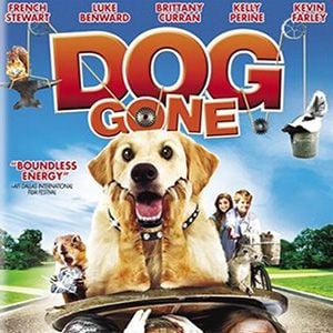 Foto Confusão pra Cachorro