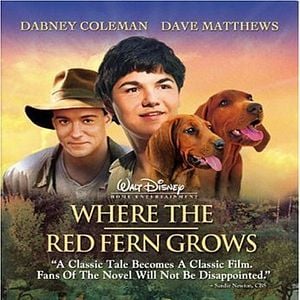 Foto Amigos de Caça