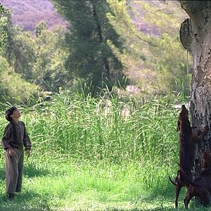 Foto Amigos de Caça