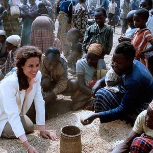 Foto Nas Montanhas dos Gorilas