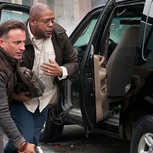 Foto Em Busca Pela Verdade