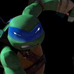 Foto Turtle Ninjas (2012)