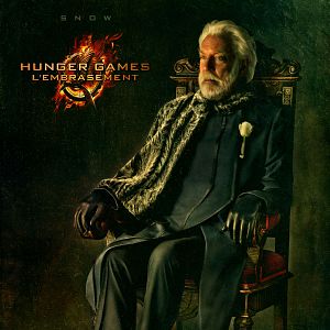 Foto Jogos Vorazes - Em Chamas