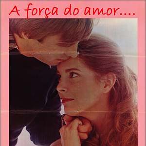 Foto Uma Janela Para o Céu