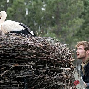 Foto Harry Treadaway