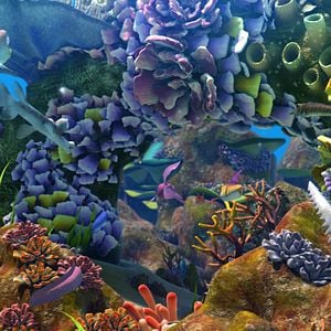 Foto O Mar Não Está Prá Peixe: Tubarões à Vista